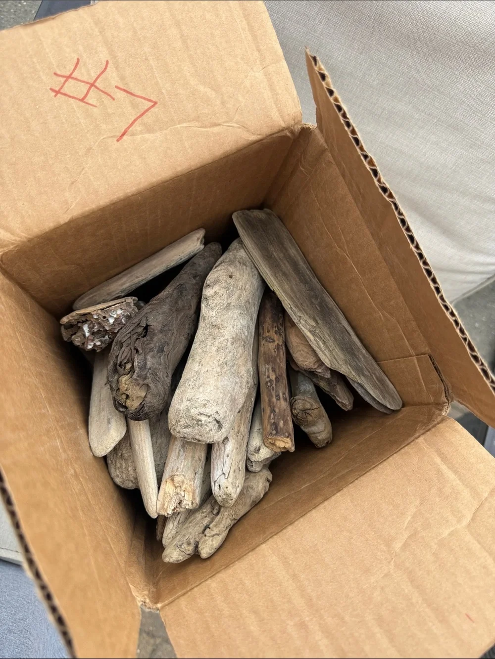 35 pcs (5lbs shipped) Natural Driftwood Pieces for decor, arts, crafts, projects